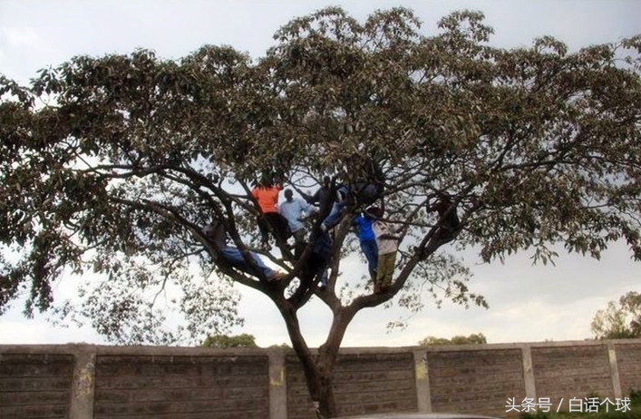 足球场上的黑话,足球圈最大的谎言是什么