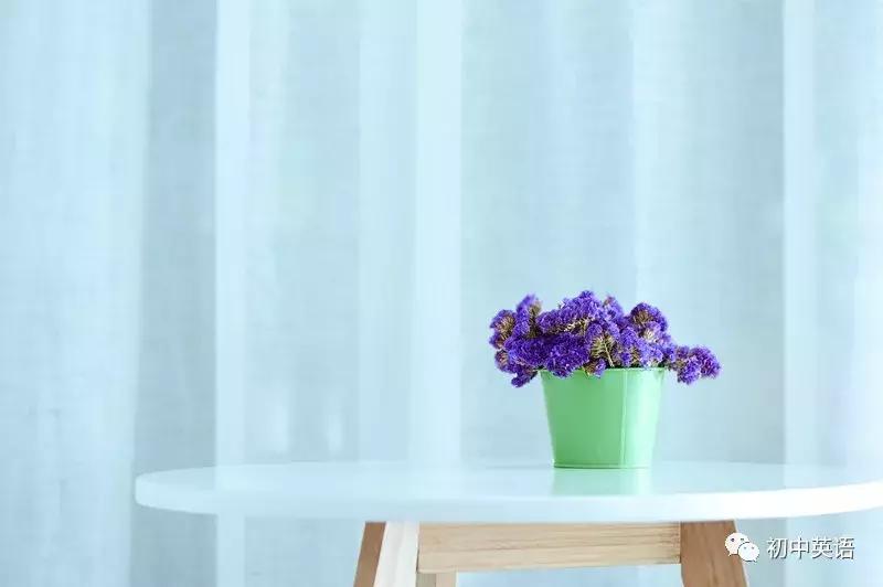 100句英语记住2000个中考单词,中考英语常考的高频核心530词