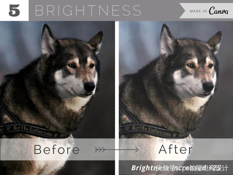 处理照片教程零基础,照片模糊变清晰最简单处理方法