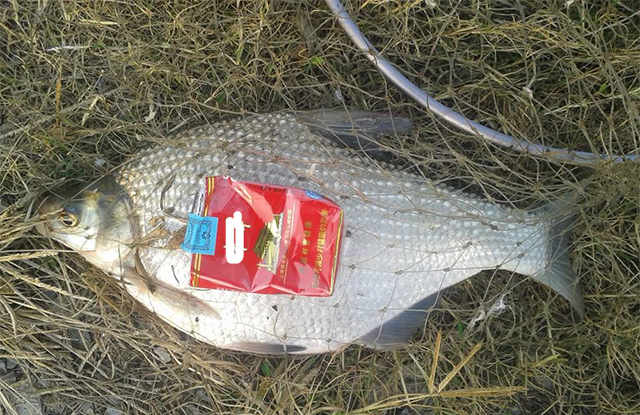 车内有鱼饵味道怎么处理,钓鱼车上有鱼料味怎么处理