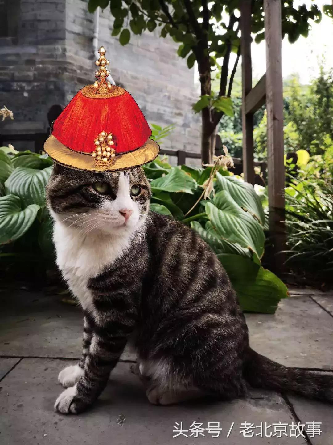 北京人讲话就是爱带儿化音?这真是对北京话最大的误解!