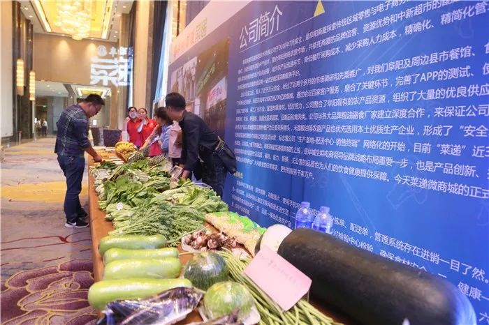 阜阳商厦菜递旗舰店,阜阳商厦菜递信息技术有限公司