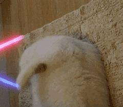 福利｜留言即送票，就是这么“壕”！福泉古城等你撩~