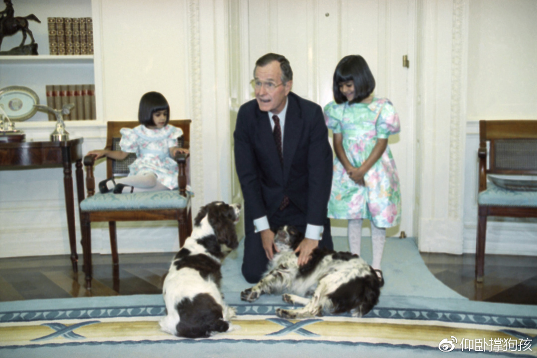 历史上三位总统没有养宠物,美国历史上46个总统