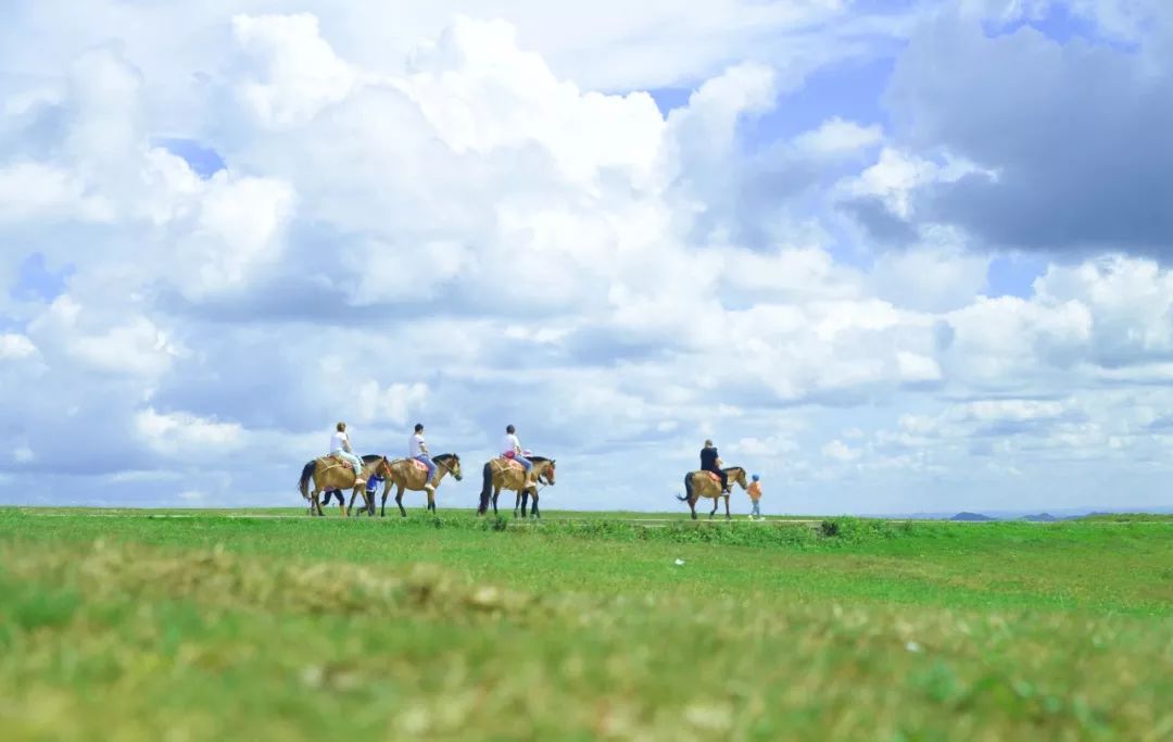 自驾露营攻略最新 (自驾露营最失败的地方)