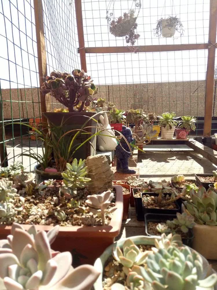 命运多舛，痴迷淡然，肉坚强们逆袭在秋天！