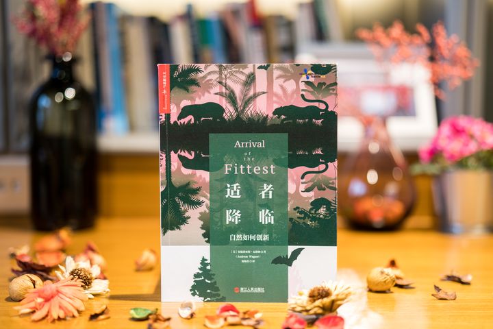 有关人类社会发展史的书籍,人类社会进化书