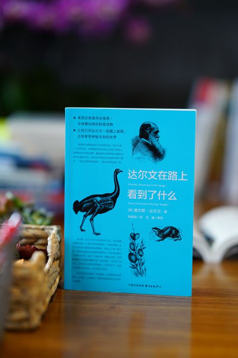 有关人类社会发展史的书籍,人类社会进化书