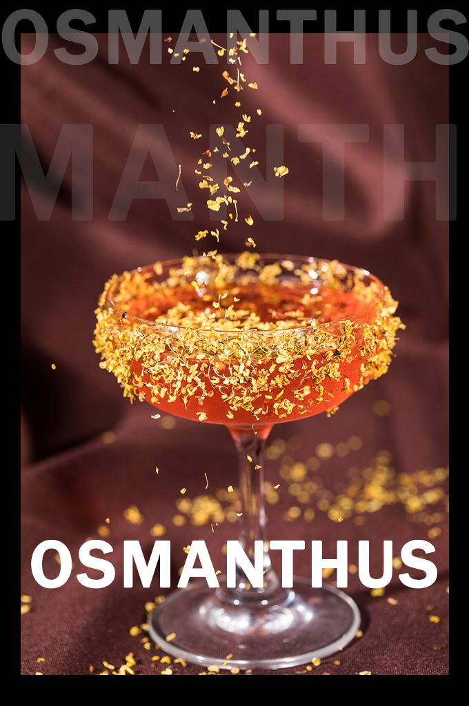 惠州超劲爆酒吧,惠州市最潮酒吧