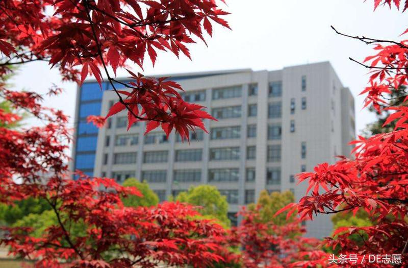 中国唯一一个占一座岛的学校,我国岛屿上有哪些大学