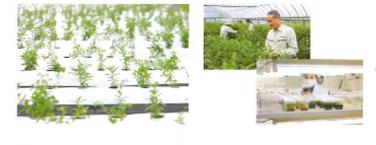 7秒卖1瓶!这款日本爆火单品,3分钟让大干皮变身“水宝宝”!