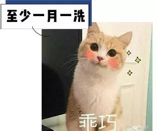 男性裸睡应不应该穿内裤,裸睡到底是穿内裤不