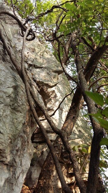 黄石免费户外游,黄石周边游徒步登山