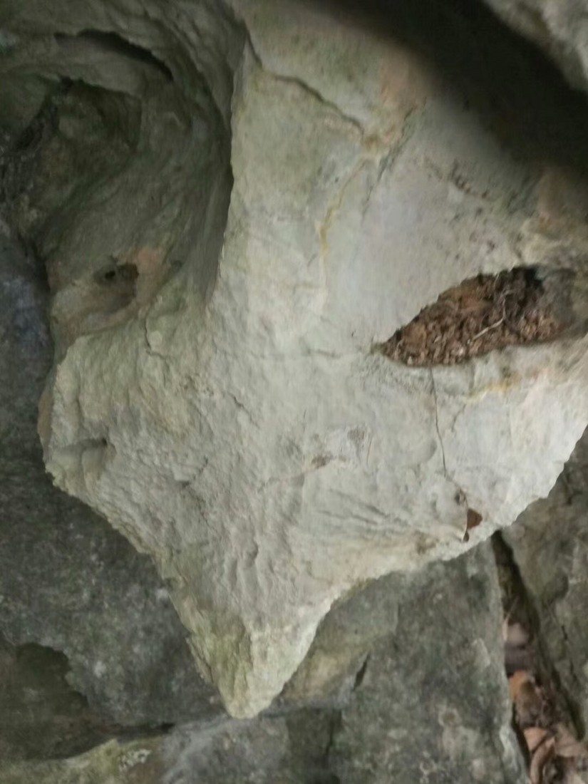 黄石免费户外游,黄石周边游徒步登山