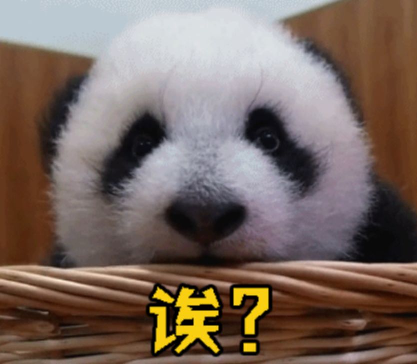 abo熊猫血中最稀有的血型,除熊猫血外什么常见血型最稀有