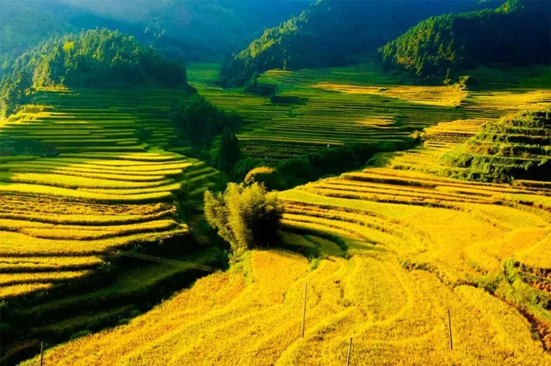 国庆你准备到哪里去的,国庆到了你会去哪