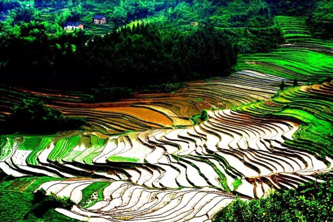 国庆你准备到哪里去的,国庆到了你会去哪