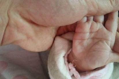 预示少年运势好的手相,什么样的手相有读书运