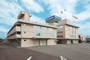 治疗关节炎的日本进口药,告别颈肩腰腿关节疼