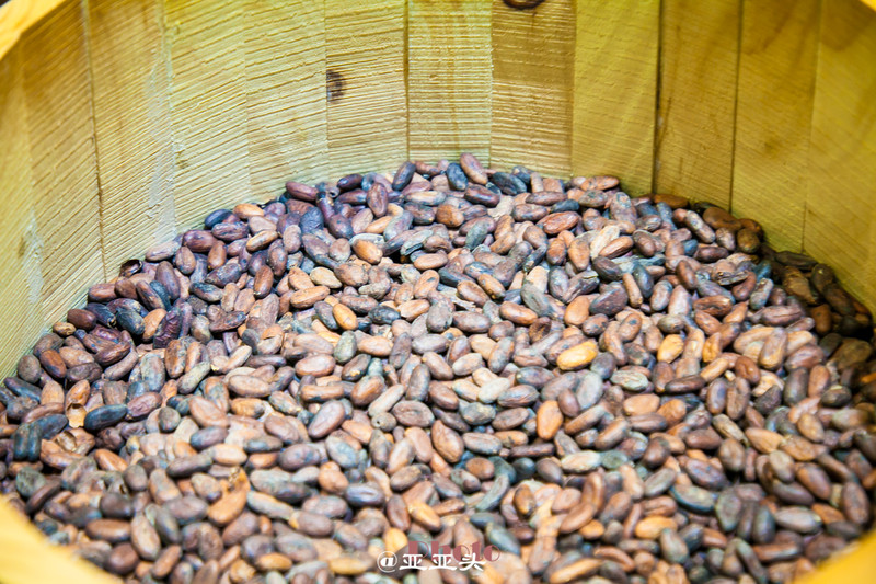 十一小长假带婴儿去哪里玩,十一长假想带孩子旅游长见识