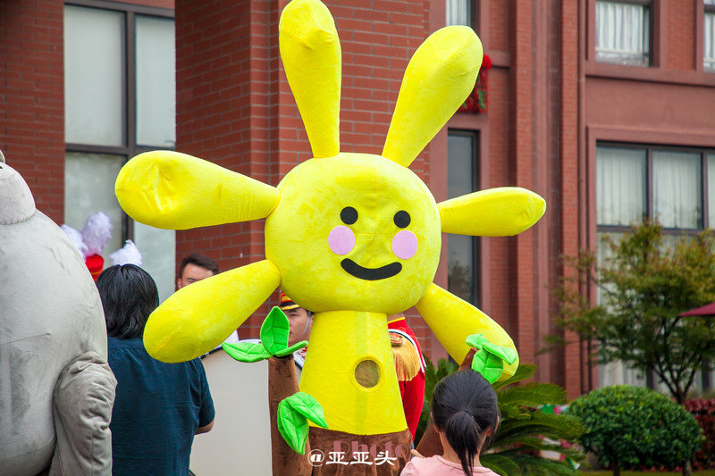 十一小长假带婴儿去哪里玩,十一长假想带孩子旅游长见识