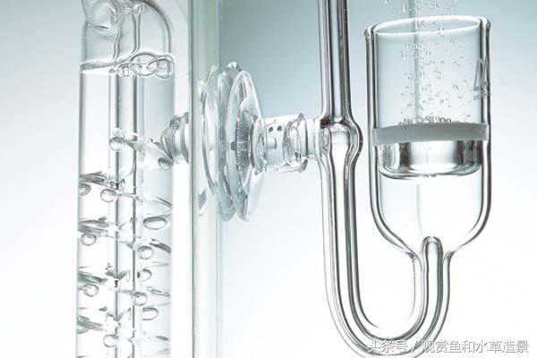 无二氧化碳无水草泥草缸造景,新手水草缸造景教程莫斯