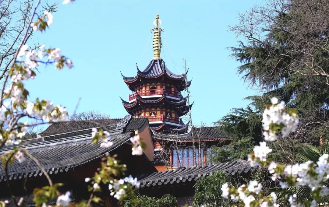 国庆去哪儿玩又便宜又好玩,国庆安心游玩攻略