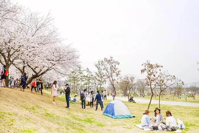 韩国十一旅游,十一省钱旅游攻略亲子游