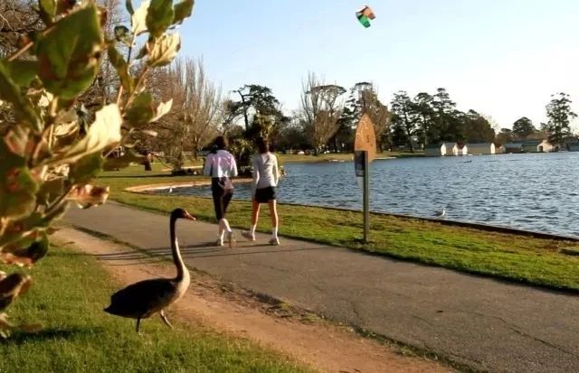 上海三天两夜旅游攻略1000元,上海旅游2-3天详细攻略性价比