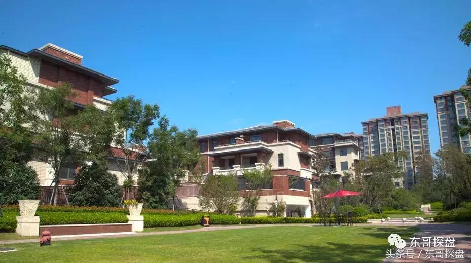 最后一栋瞰湖小高层,瞰湖小高层