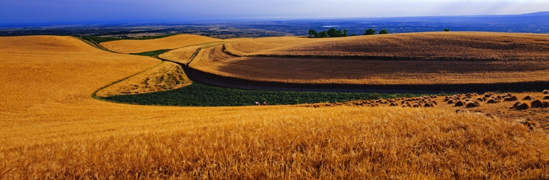 新疆天山环线旅游攻略,环游新疆旅行攻略