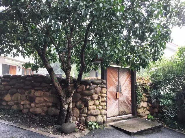 杭州浙大玉泉校区能做饭的民宿,杭州绝美的10间民宿