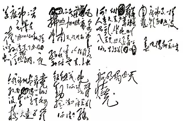 吃活物有寄生虫,吃活的虫子身体里有寄生虫