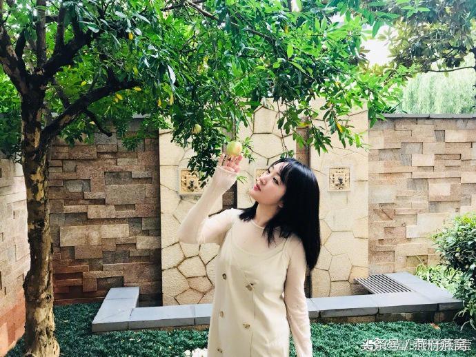 十二星座的女明星,十二星座即食燕窝