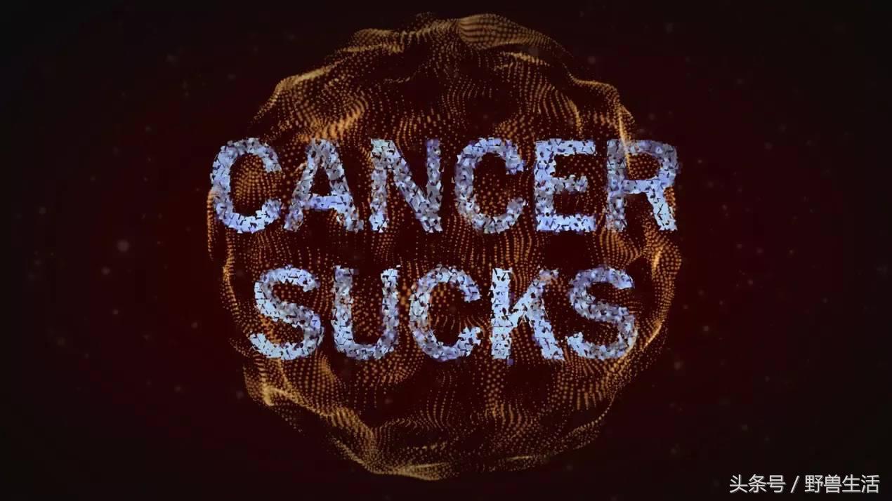 大蒜片一天吃多少最好,大蒜的保健吃法和注意点