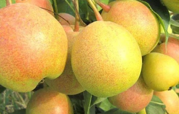 祁连山下的小城旅游攻略,祁连山下的最美小城