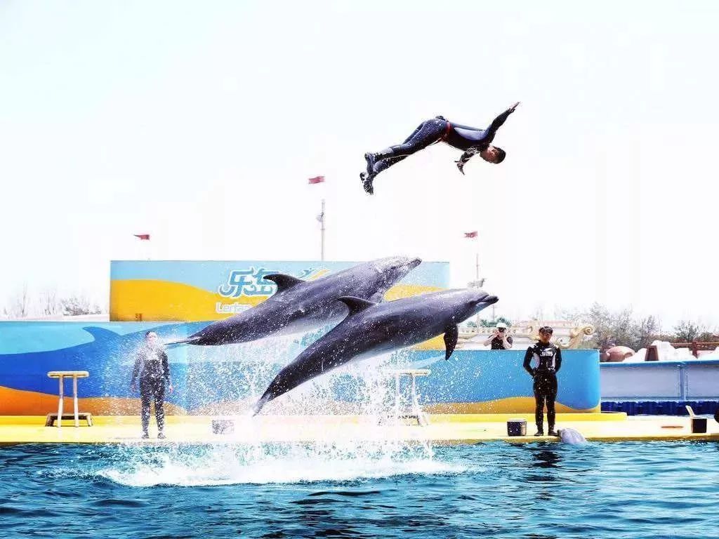 十一去哪儿｜秦皇岛十一假期游玩指南奉上！