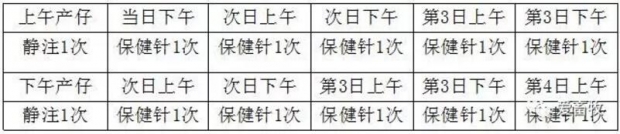 母猪产仔全过程讲解,母猪接生操作视频教程