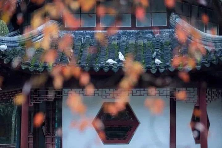 如何用诗经楚辞给孩子取名,诗经适合女孩子的名字