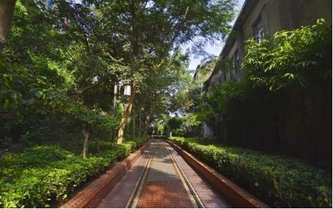 厦门旅游全攻略鼓浪屿篇,最实用的厦门鼓浪屿旅游攻略