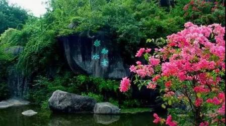 厦门旅游全攻略鼓浪屿篇,最实用的厦门鼓浪屿旅游攻略