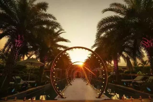 大s和杨子姗是一个人吗,大s杨子姗