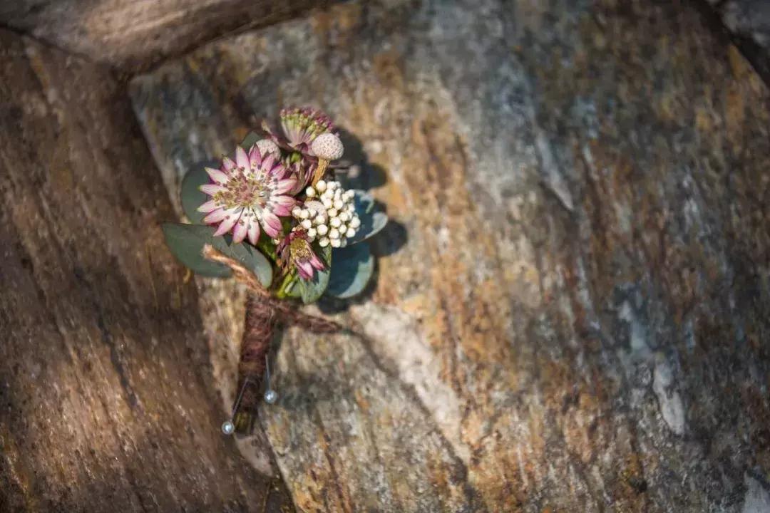 大s和杨子姗是一个人吗,大s杨子姗