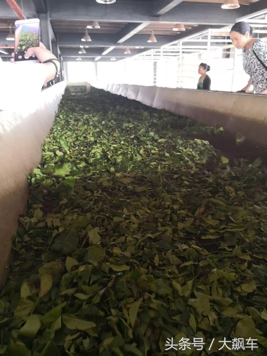 斯里兰卡之旅印象,印象斯里兰卡