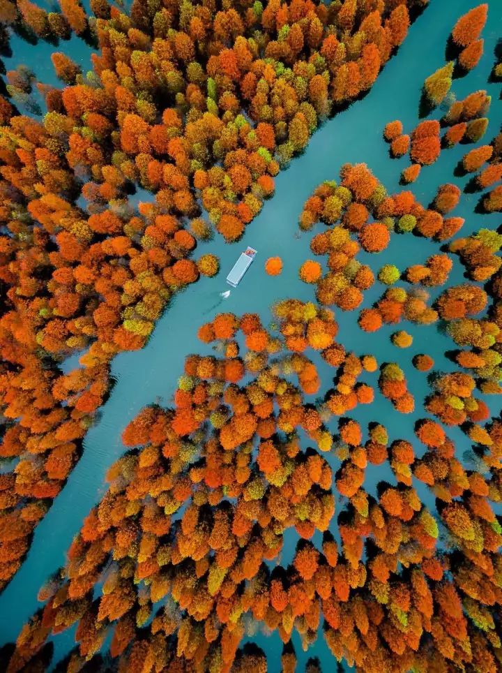 什么是中国传统文化,什么是中国文化