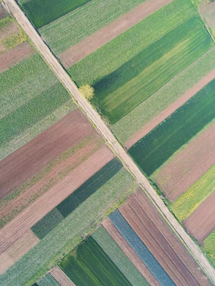 什么是中国传统文化,什么是中国文化