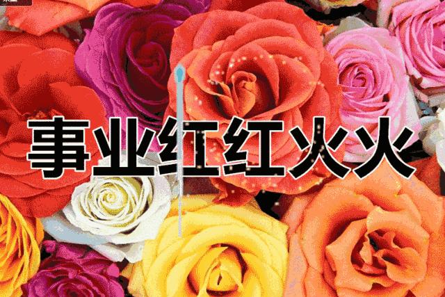 会动的美丽的图片,会动的照片绝美