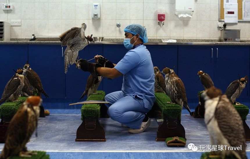 土豪城市，你只知道迪拜超级low了！阿布扎比了解一下