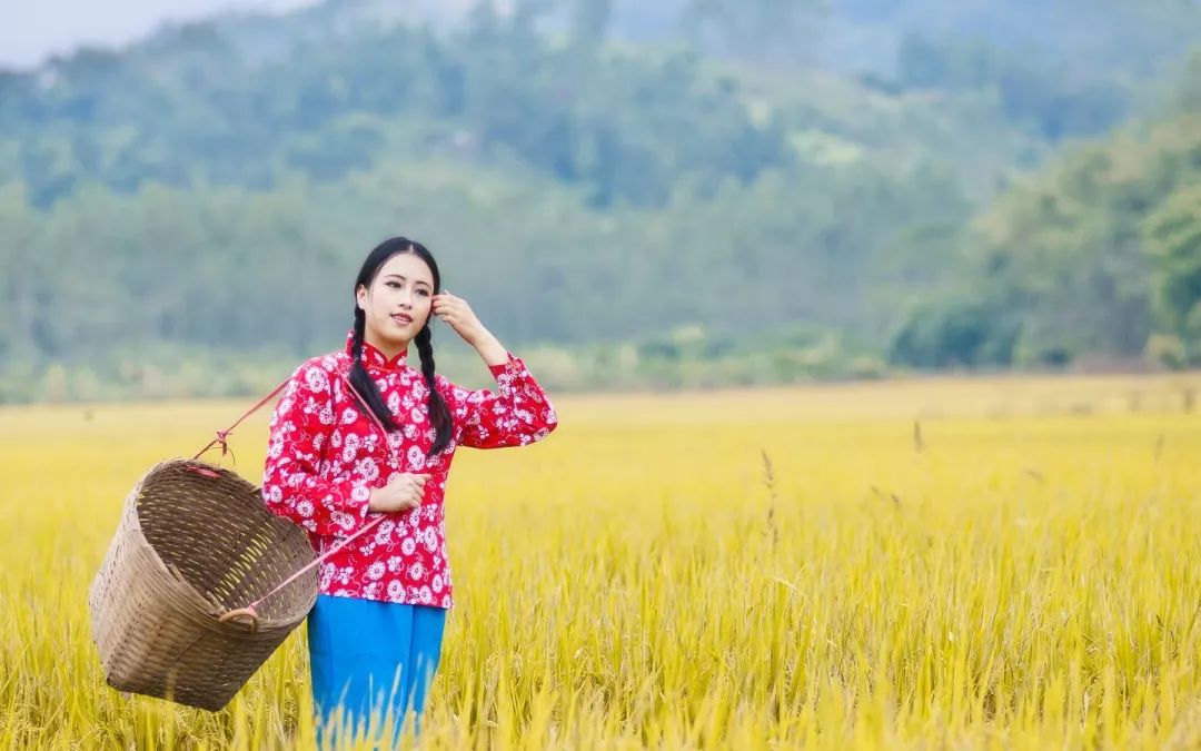 公安情歌20首,民警情歌100首