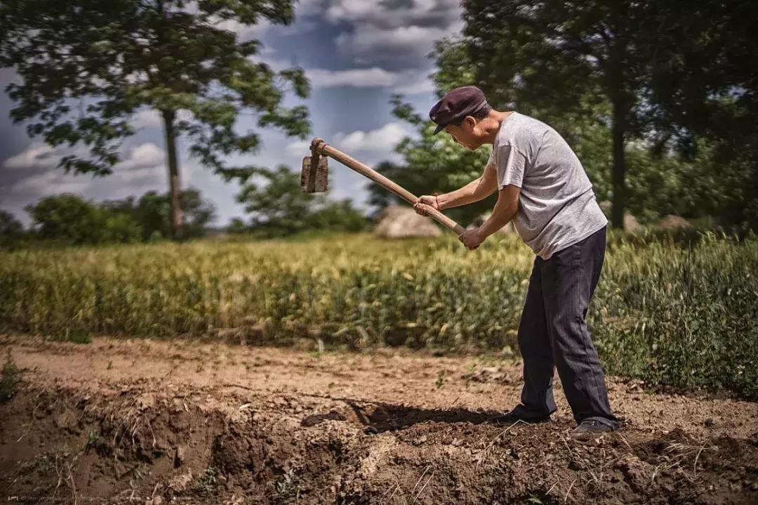 田建队：我的父亲